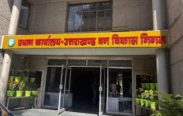 वन विकास निगम में वित्तीय अनियमितता के आरोप, एमडी ने दिए जांच के आदेश