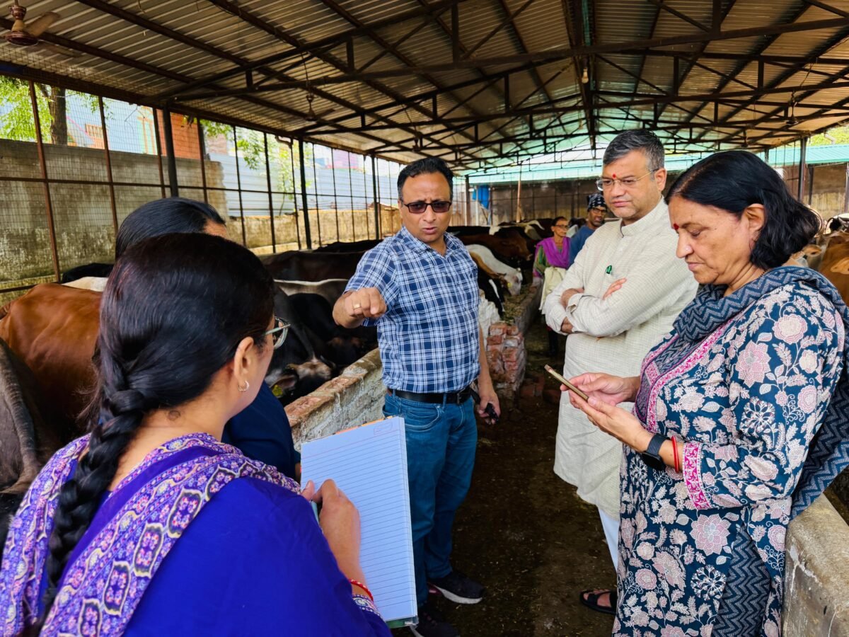केदारपुर गौशाला पहुंचे मेयर सौरभ थपलियाल, गर्मी से बचाव के लिए कूलर लगाने के दिए निर्देश
