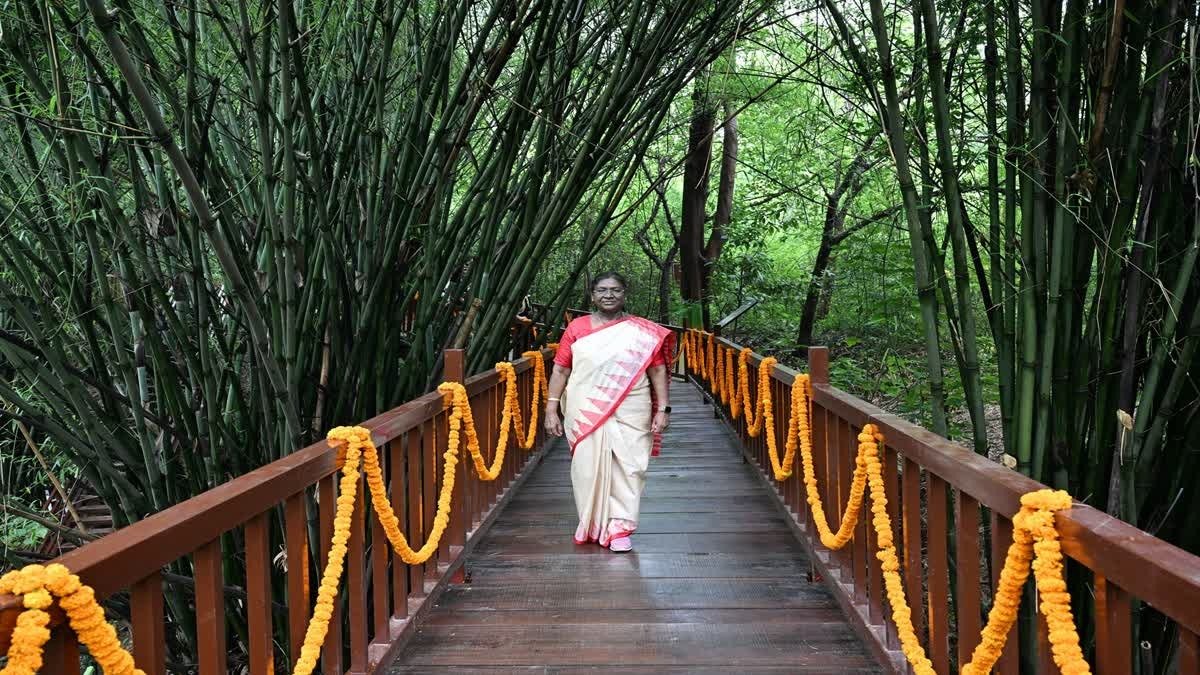 राष्ट्रपति उद्यान परियोजना का निरीक्षण करने पहुंचीं राष्ट्रपति द्रौपदी मुर्मू, नवंबर तक पूरा होने की उम्मीद