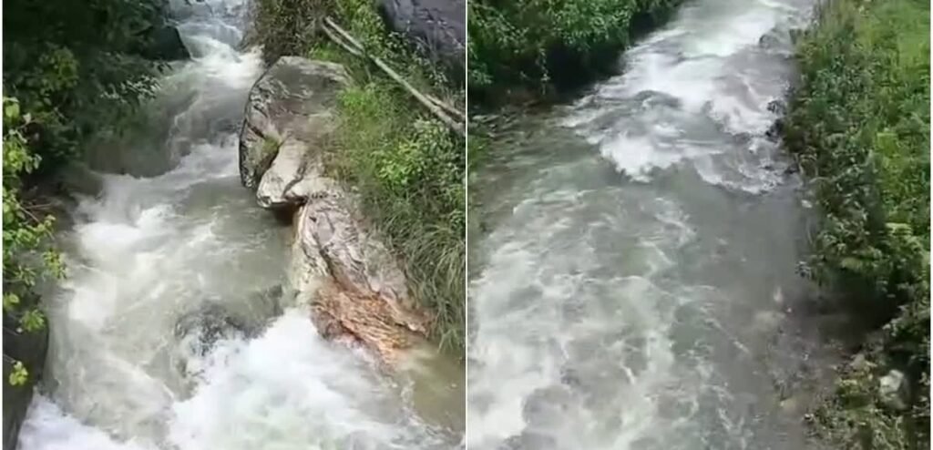 घास लेने गई महिला का पैर फिसला, उफनते गदेरे में बहने से मौत