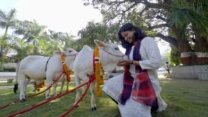 श्री गुरु राम राय विश्वविद्यालय में पहुंची दुनिया की सबसे छोटी नस्ल की नैनो गाय WhatsApp Image 2026-09-23 at 16.26.50